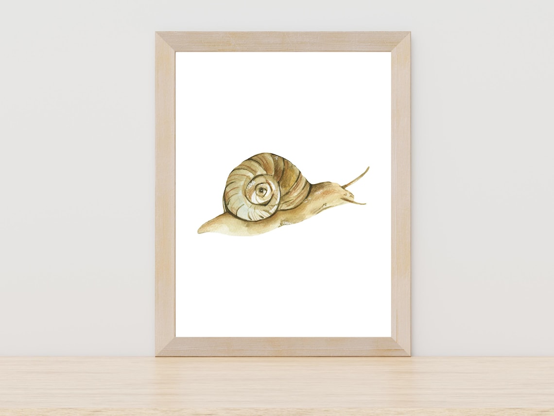 Garden Snail Watercolor Painting Woodland Insect Cute Nursery Print