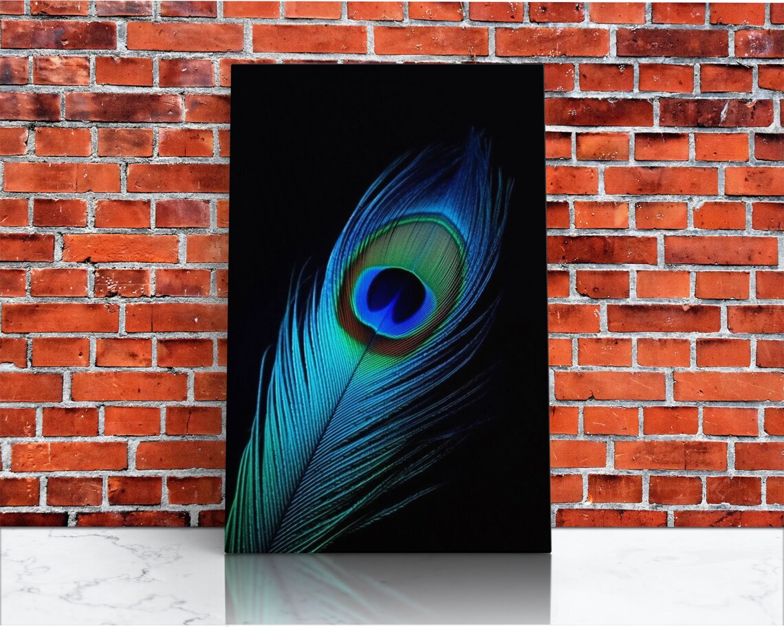 Lone Peacock Feather Art Print, Peacock Bird Study - Image 2