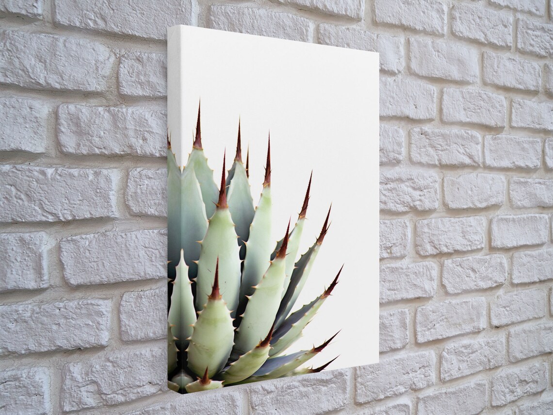 Desert Cactus Art Print, Modern Botanical Decor - Image 5
