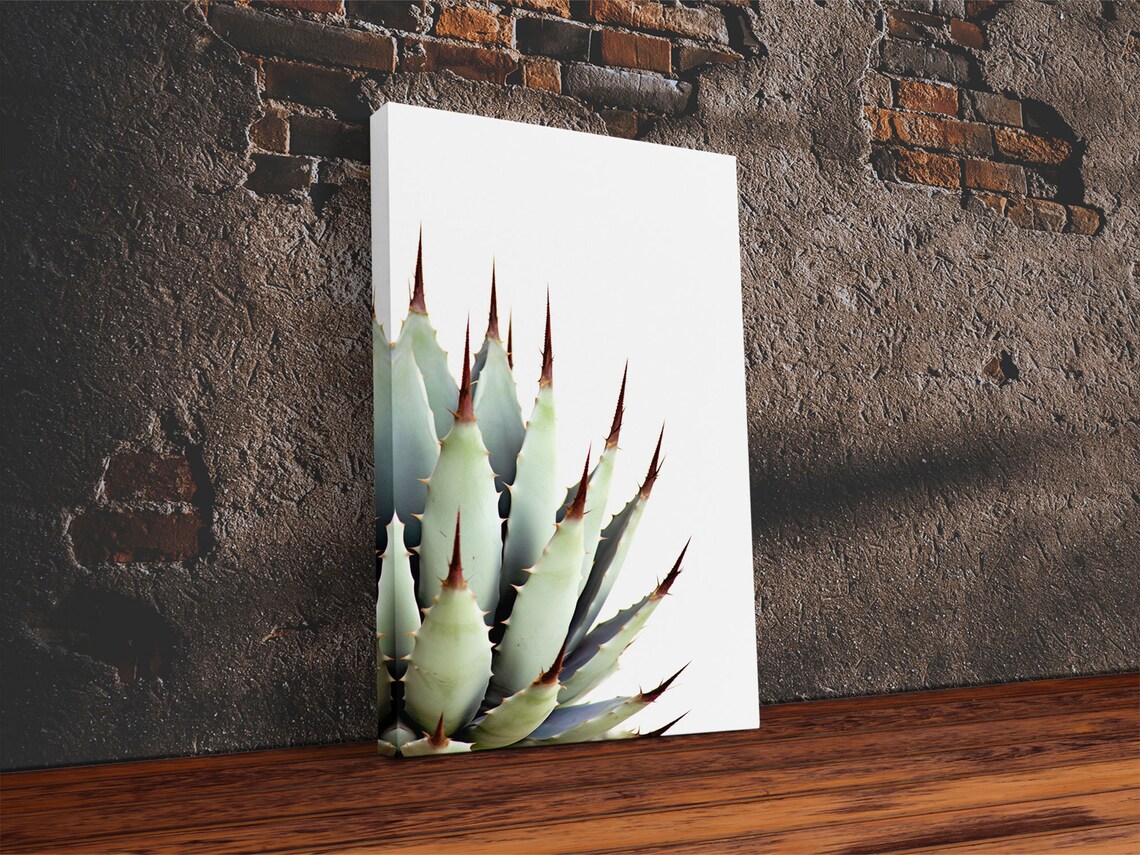 Desert Cactus Art Print, Modern Botanical Decor - Image 4