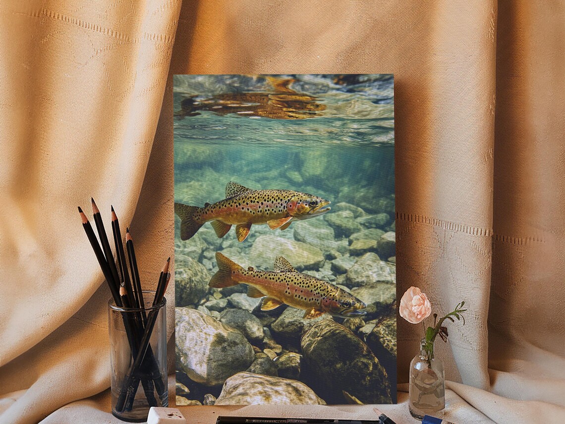 Pair Of Trout Rustic Fly Fishing Art Print for Living Room - Image 6
