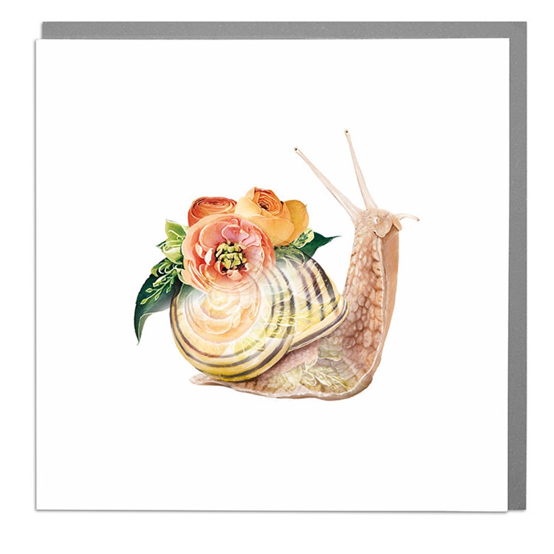 Snail Blank Greeting Card