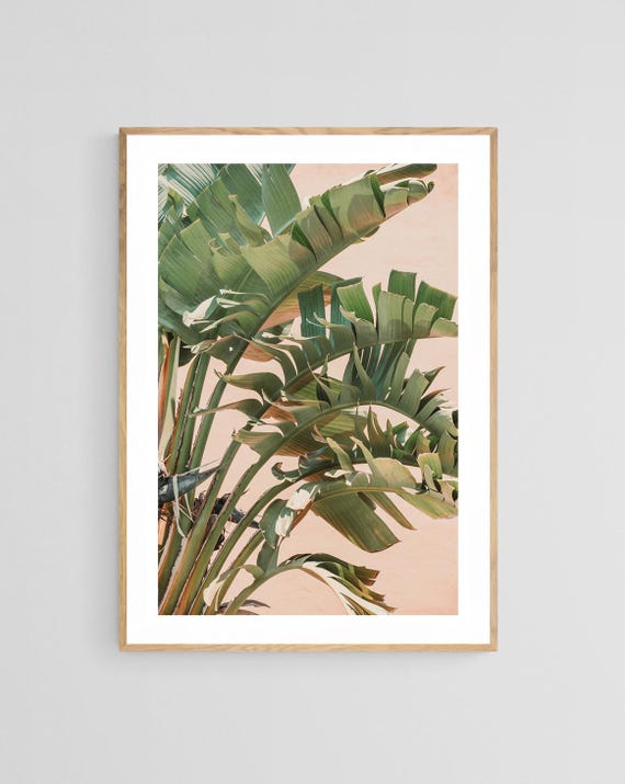 Banana Leaf Art Print, Tropical Botanical Boho
