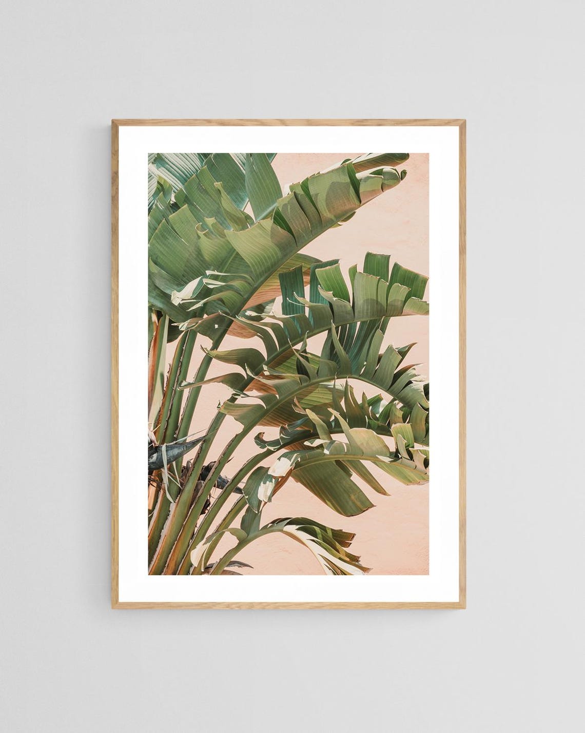 Banana Leaf Art Print, Tropical Botanical Boho