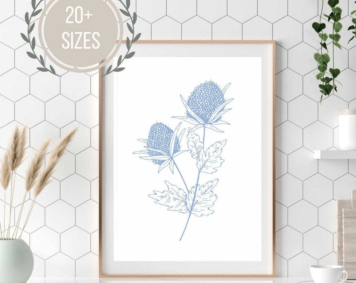 Minimalist Blue Thistle Botanical Line Drawing Floral Wall Poster - Image 4
