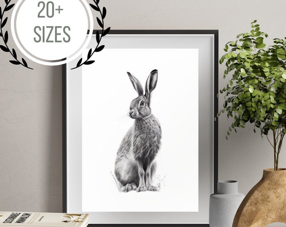 Wild Hare Black And White Drawing Woodland Animal Art Modern Gallery Wall Art Minimalist Decor For Home Office Wall Art