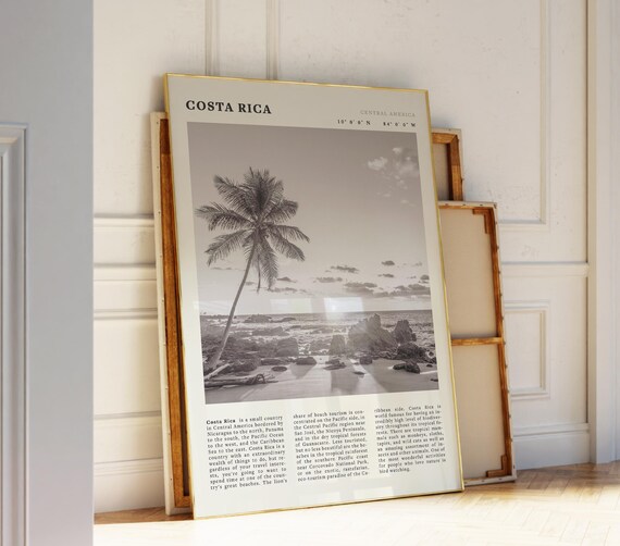 Costa Rica Central America Palm Beach Sepia Travel Photo Poster