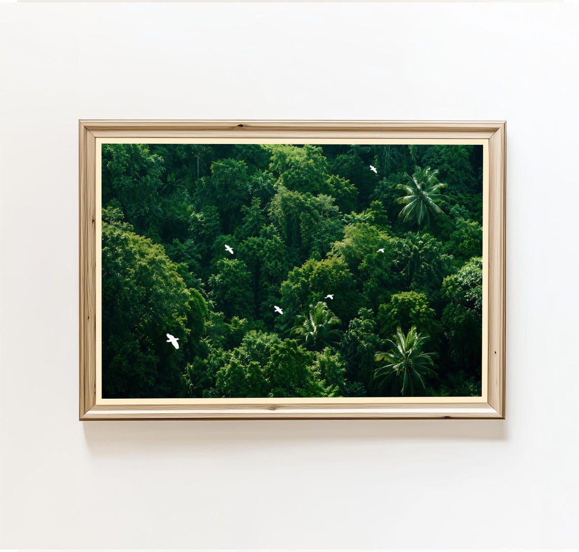 Rainforest Canopy Aerial Green Jungle Birds Nature Photo Poster