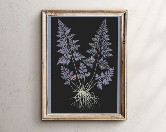 Botanical Illustration Vintage Black Background Floral Print 24x36 Purple Dark Wall Art