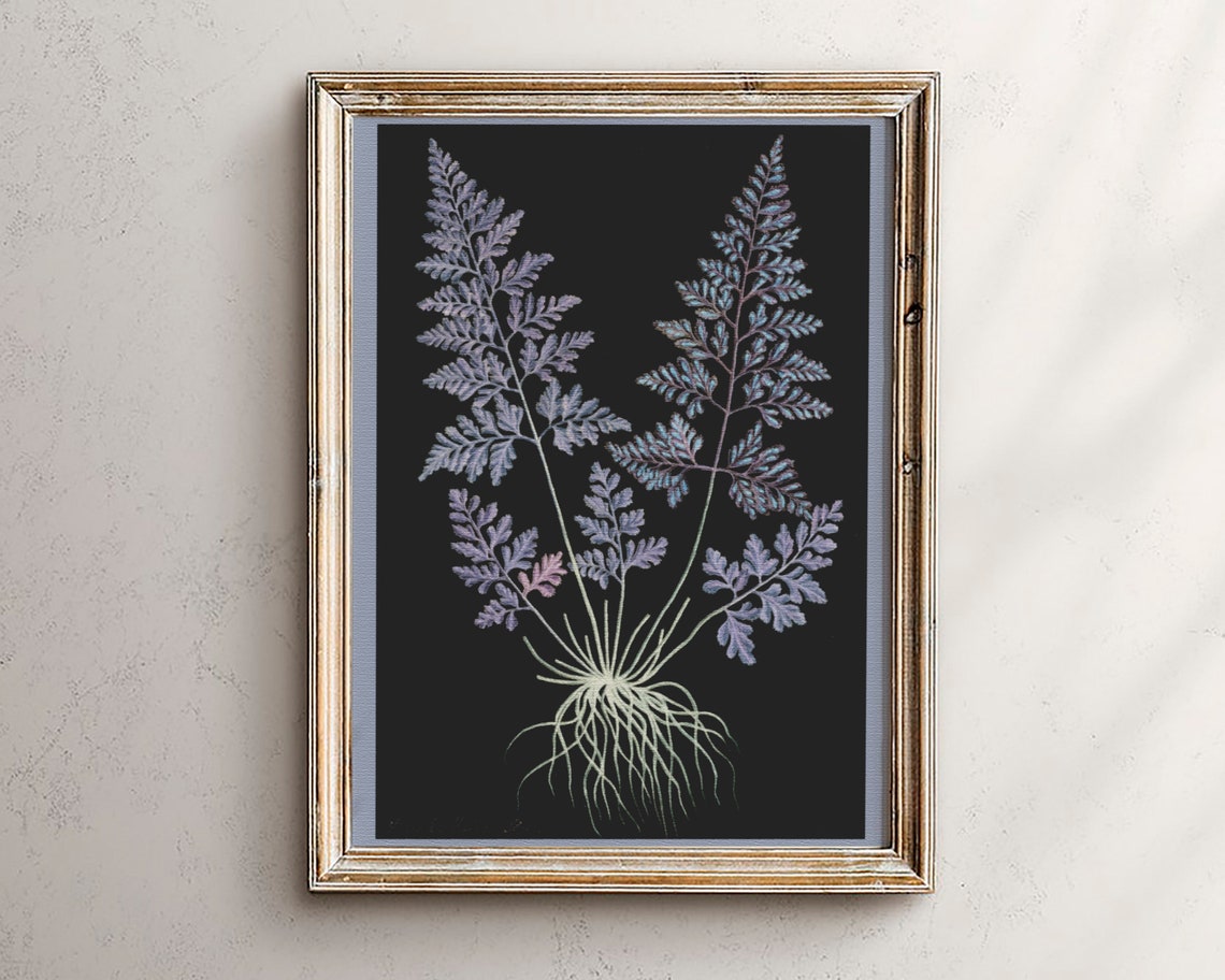 Botanical Illustration Vintage Black Background Floral Print 24x36 Purple Dark Wall Art
