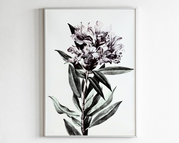 Vintage Moody Botanical Print Plant Poster Wall Art Dark Floral Prints Modern Farmhouse