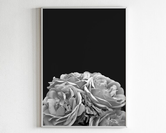 Black and White Roses Macro Photograph Moody Dark Floral Poster