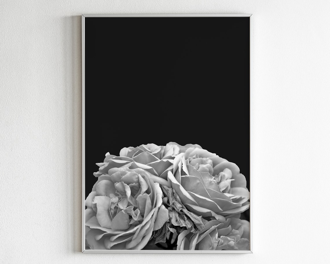Black and White Roses Macro Photograph Moody Dark Floral Poster