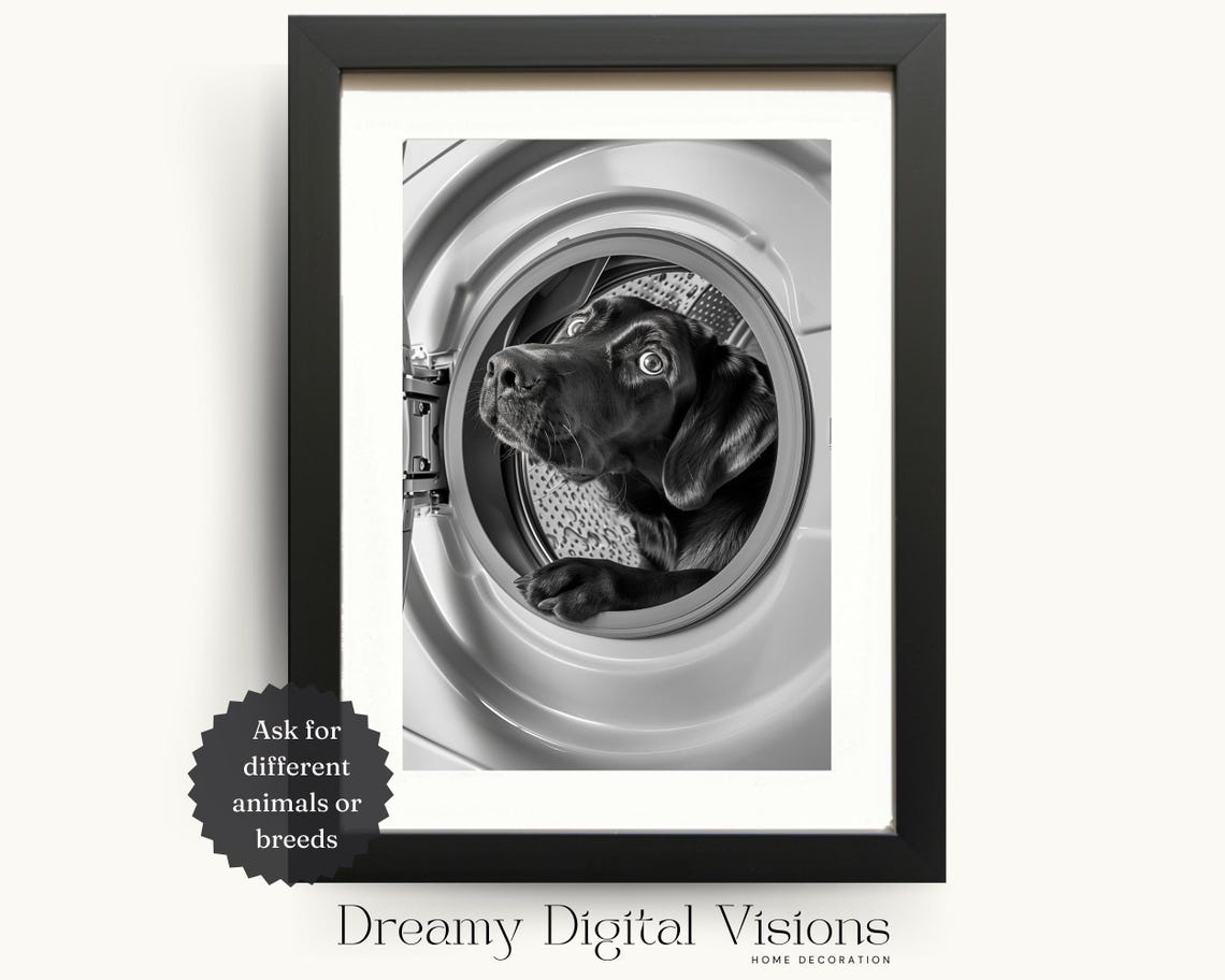 Black Lab Puppy Peeking Out of Washing Machine Funny Laundry Poster