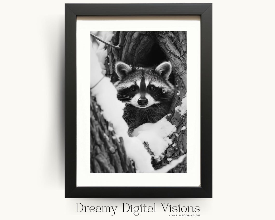 Raccoon Peeking From a Snowy Tree Hollow Black and White Poster