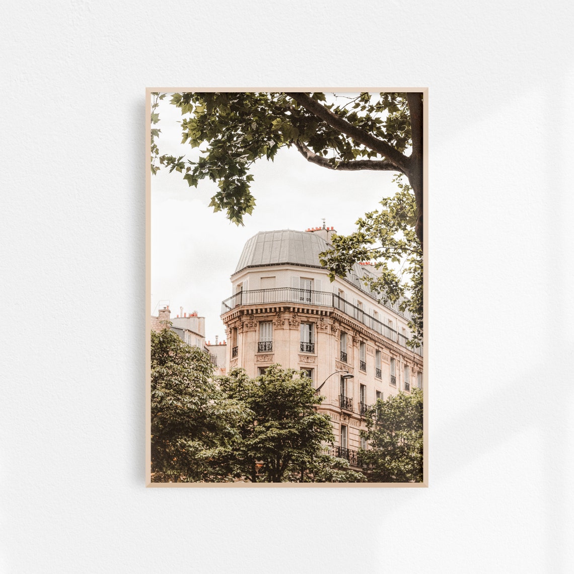 Classic Paris Haussmann Building Framed By Green Trees Poster