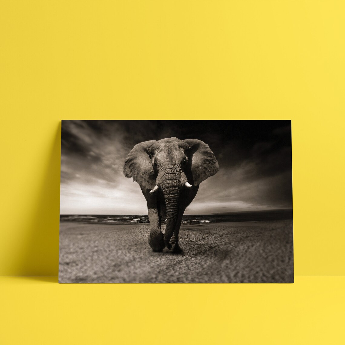 African Elephant Walking Sepia Savanna Wildlife Photo Art Poster - Image 2