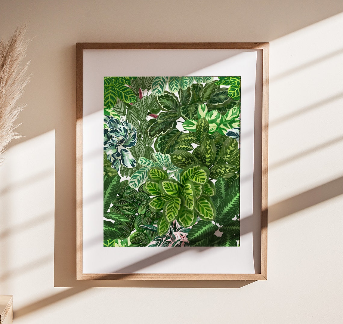 Calathea Prayer Plant Jungle Leaf Fill Poster Tropical Botanical