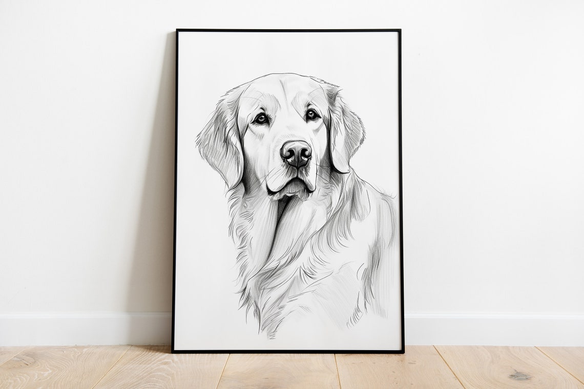 Golden Retriever Front Portrait Detailed Pencil Sketch Poster