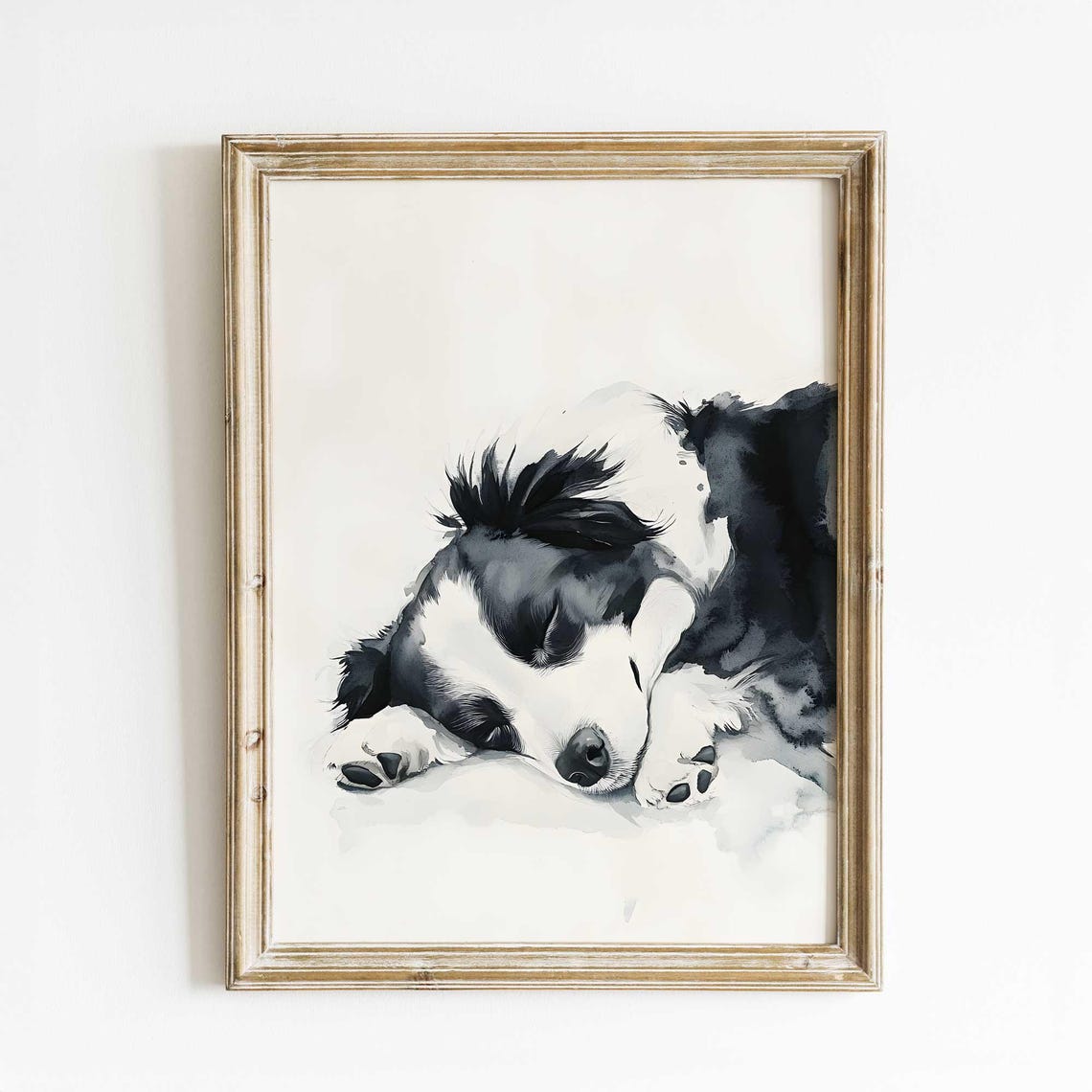 Sleeping Border Collie Puppy Watercolor Black White Dog Art Print
