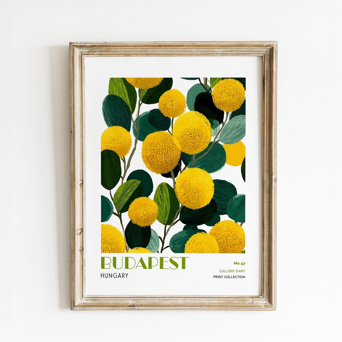 Budapest Hungary Yellow Wattle Flower Botanical Garden Poster