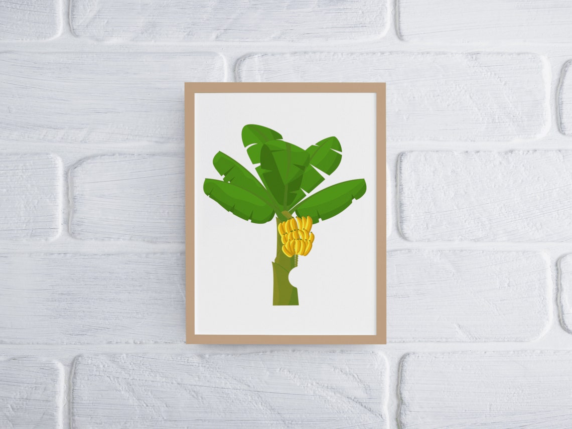 Banana Tree Tropical Illustration With Banana Fruit Wall Poster - Image 4