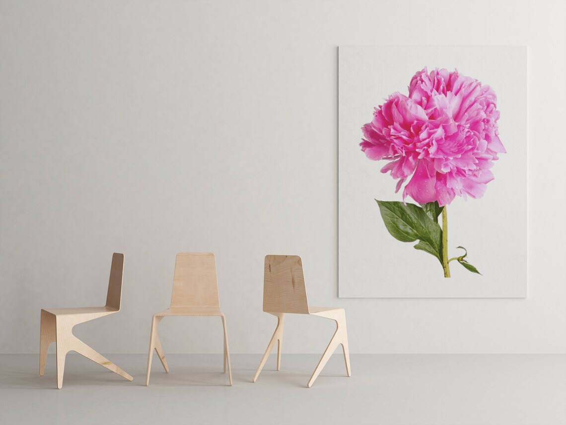 Pink Peony Flower Photography Minimalist Floral Wall Decor Poster - Image 4