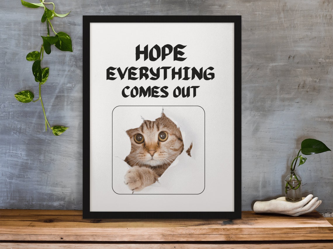 Hope Everything Comes Out Funny Cat Meme Kitchen Bathroom Decor Poster