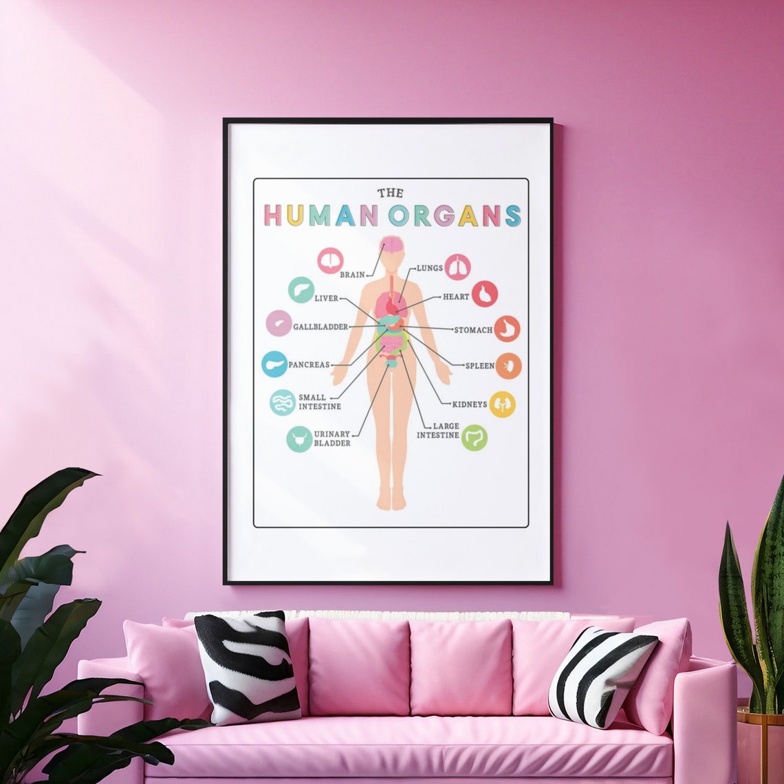 Human Organs Anatomy Chart Educational Science Classroom Poster - Image 8