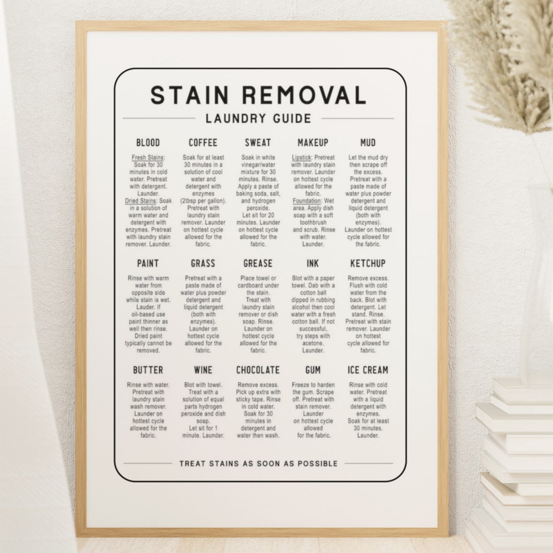 Stain Removal Laundry Guide Chart with 15 Stain Fixes Poster