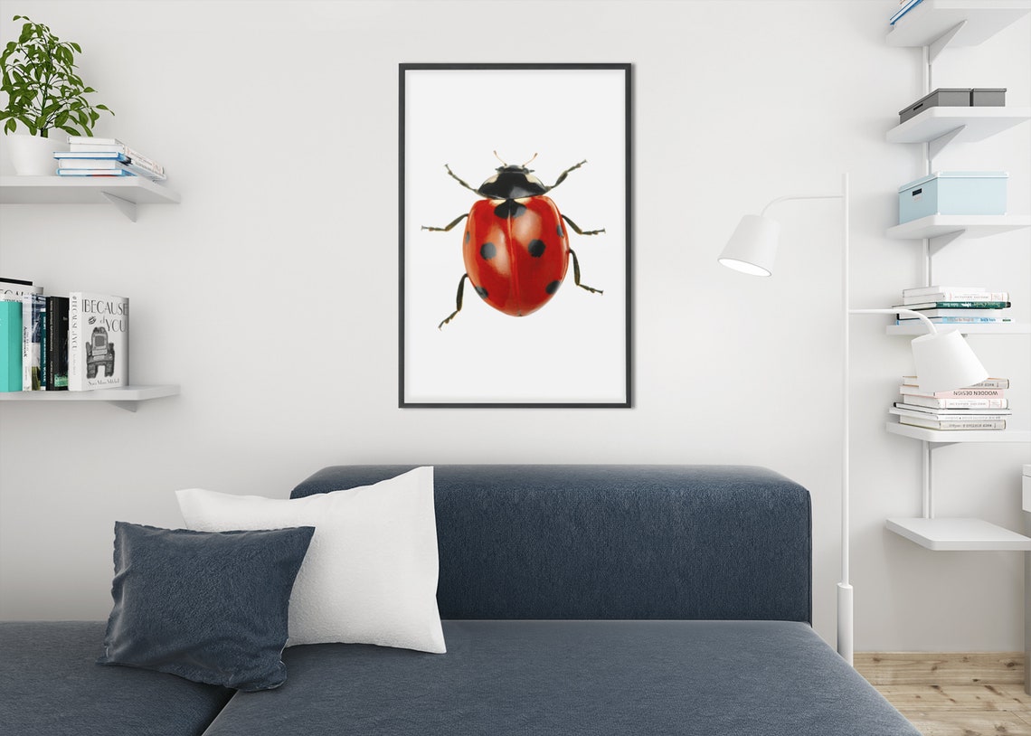 Ladybug Nursery Wall Art Girl Nursery Decor Bugs Kids Poster - Image 10