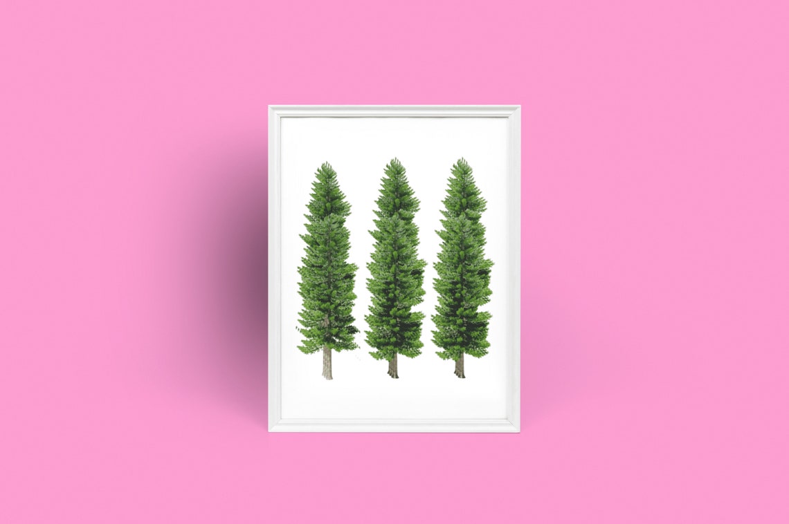 Pine Tree Print Woodland Nursery Decor Forest Nursery Wall Art - Image 4