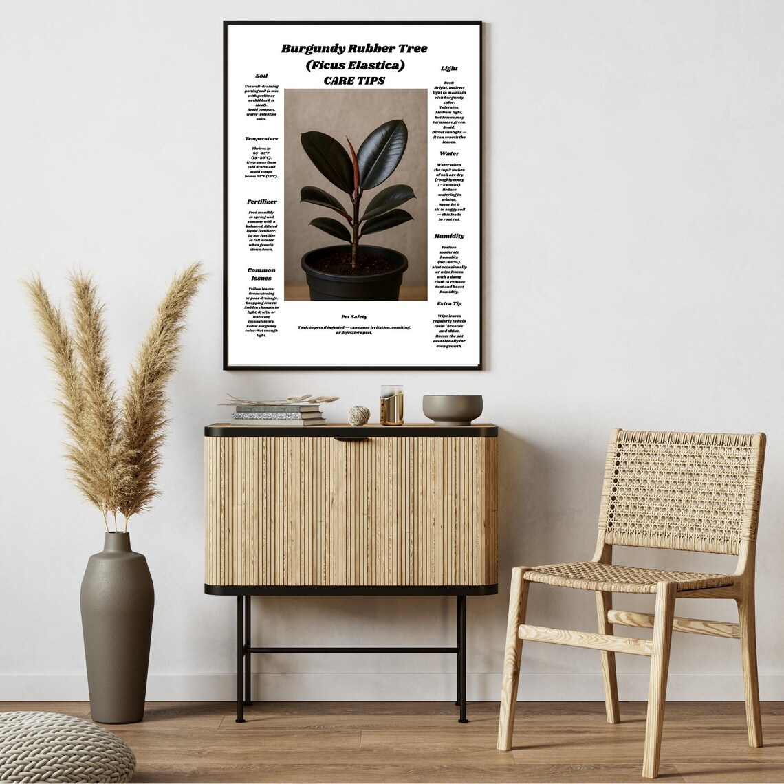 Burgundy Rubber Tree Care Tips, Houseplant Decor