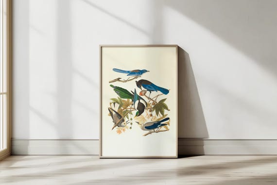 Vintage Bird Wall Art Botanical Illustration Print Antique Nature Decor Artwork