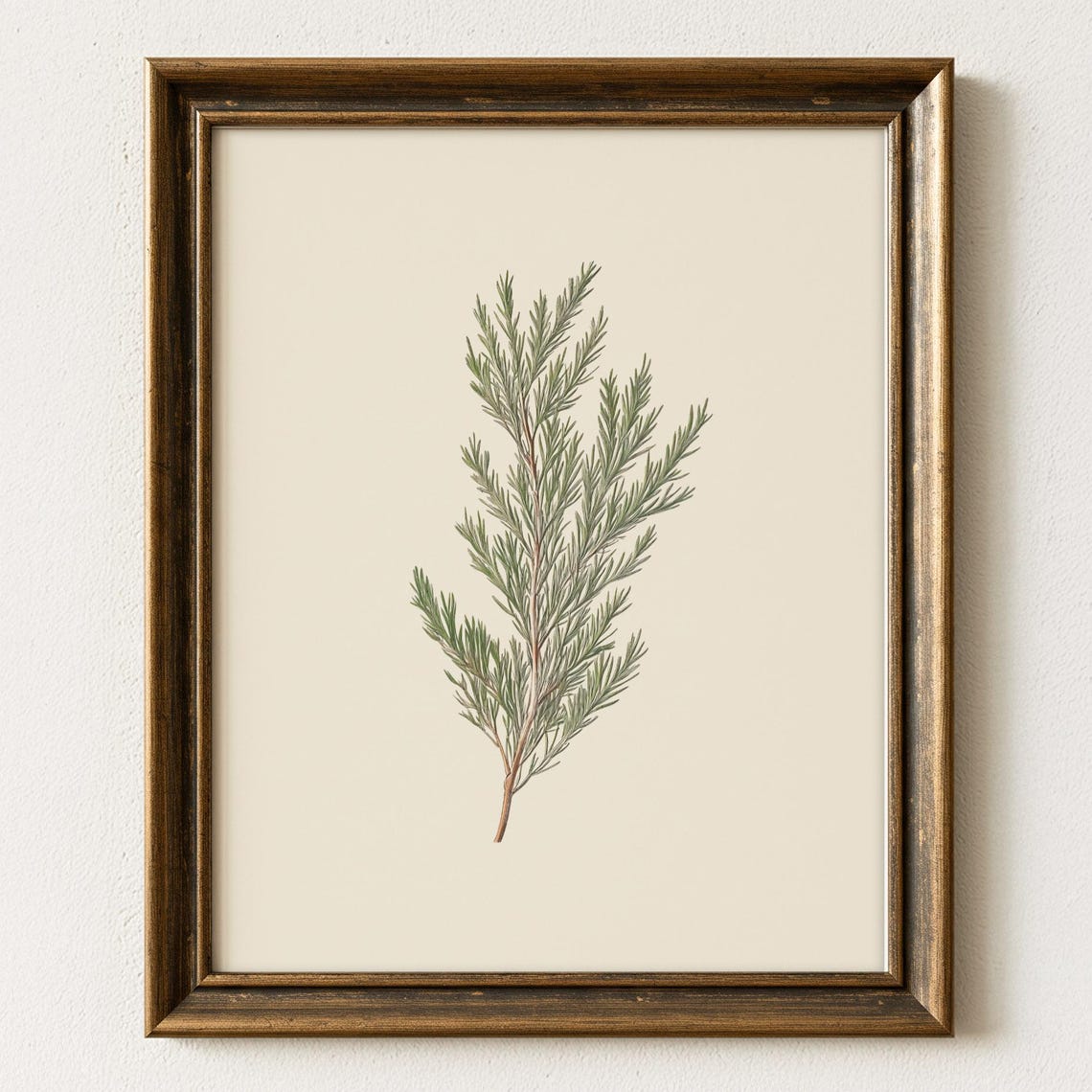 Evergreen Pine Branch Botanical Illustration Neutral Wall Art