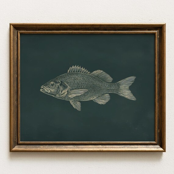 Vintage Fish Art Print, Rustic Lake House Decor