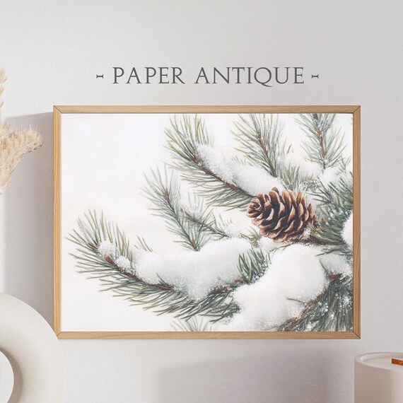Snowy Pine Branch with Pinecone Winter Botanical Study Poster