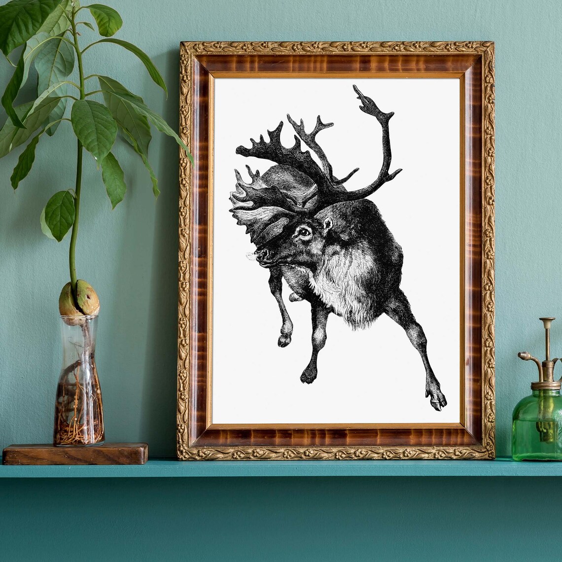 Leaping Reindeer With Large Antlers Antique Black White Engraving Poster - Image 2