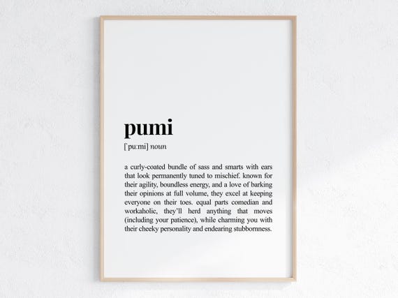 Pumi Funny Definition Print Cheeky Gift For Dog Parent Lover Art Humorous Dictionary Poster