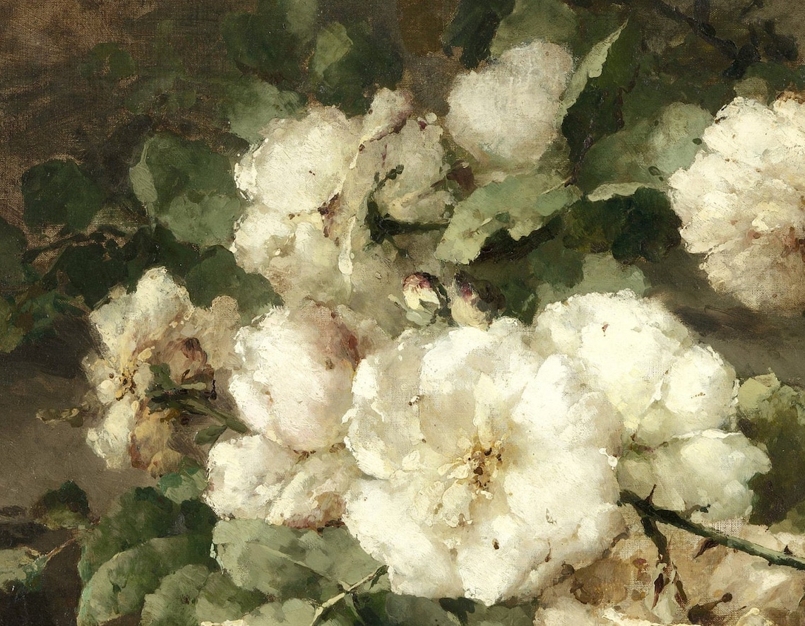 White Floral Still Life Vintage Rose Art Print - Image 3