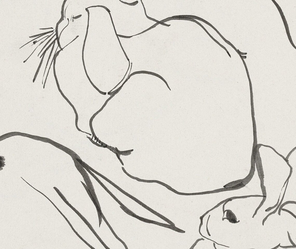 Sketch Of Rabbits Vintage Animal Art Print - Image 2