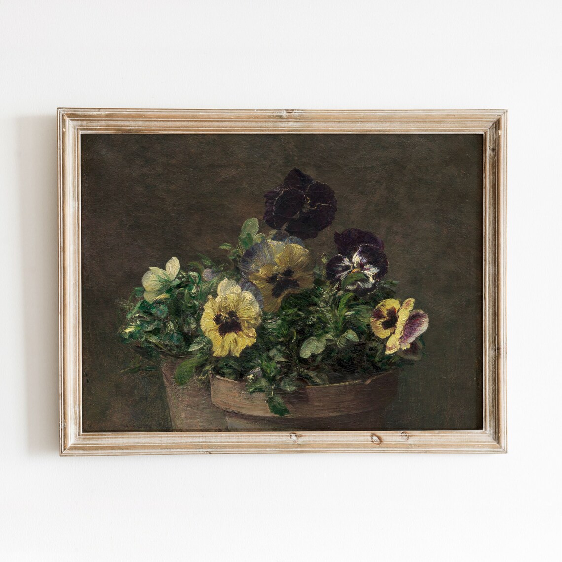 Pansies in Terracotta Vintage Botanical Art Print