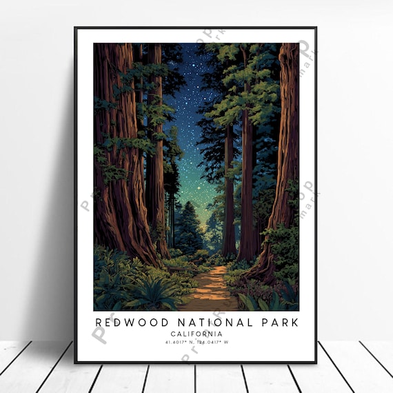 Redwood National Park Starry Night Forest Trail California Poster
