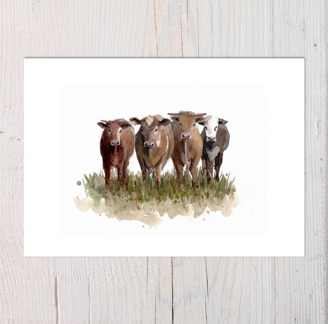 Charming Watercolor Portrait of Four Curious Cows Farm Poster