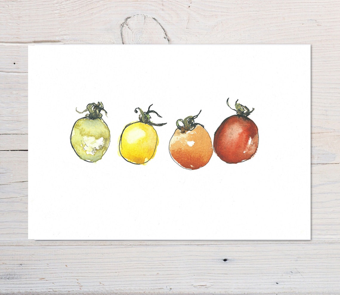 Row of Four Ripening Tomatoes Watercolour Wall Art in Autumn Hues