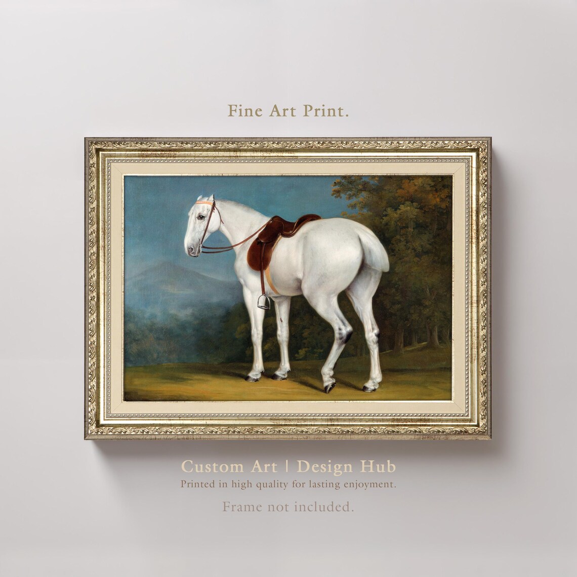 Saddled Grey Horse In Pasture Vintage Equestrian Portrait Print