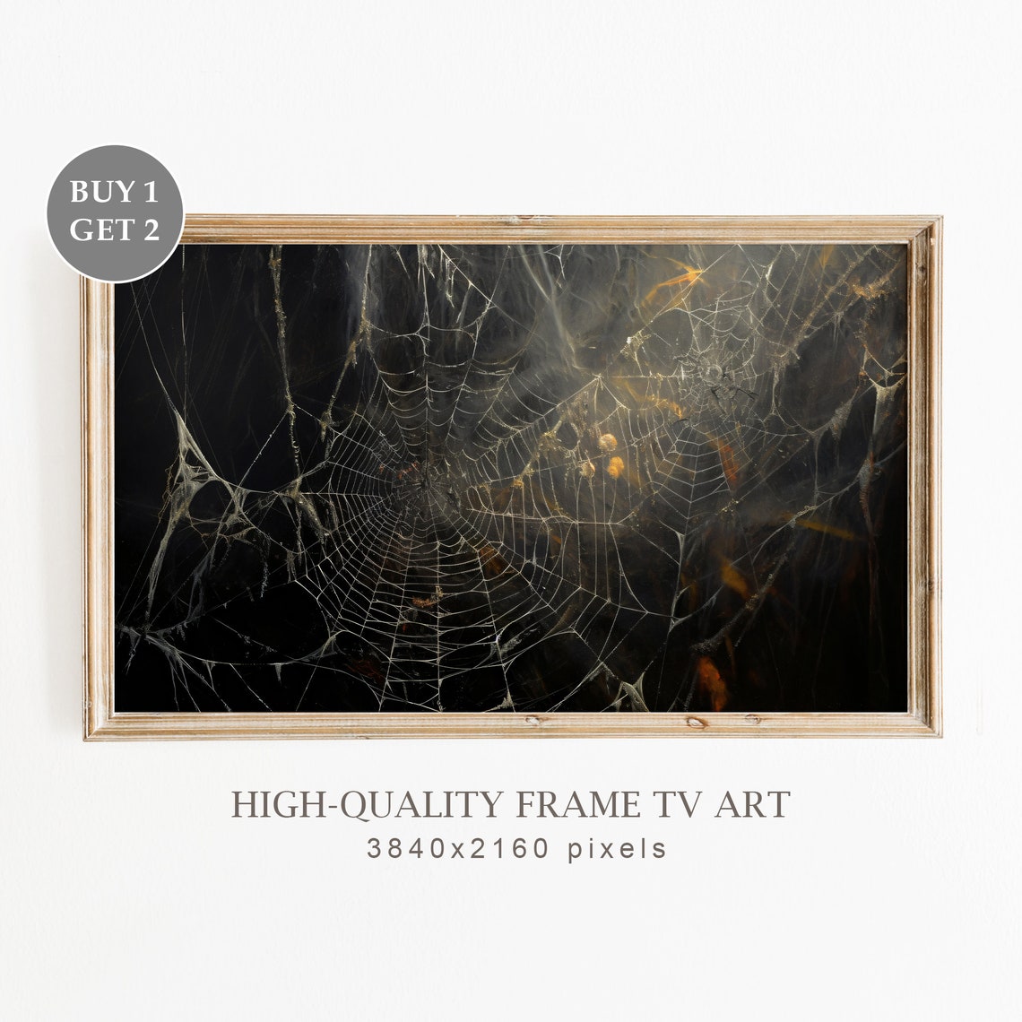 Dew Covered Spider Web In Darkness Moody Gothic Halloween Spooky Print