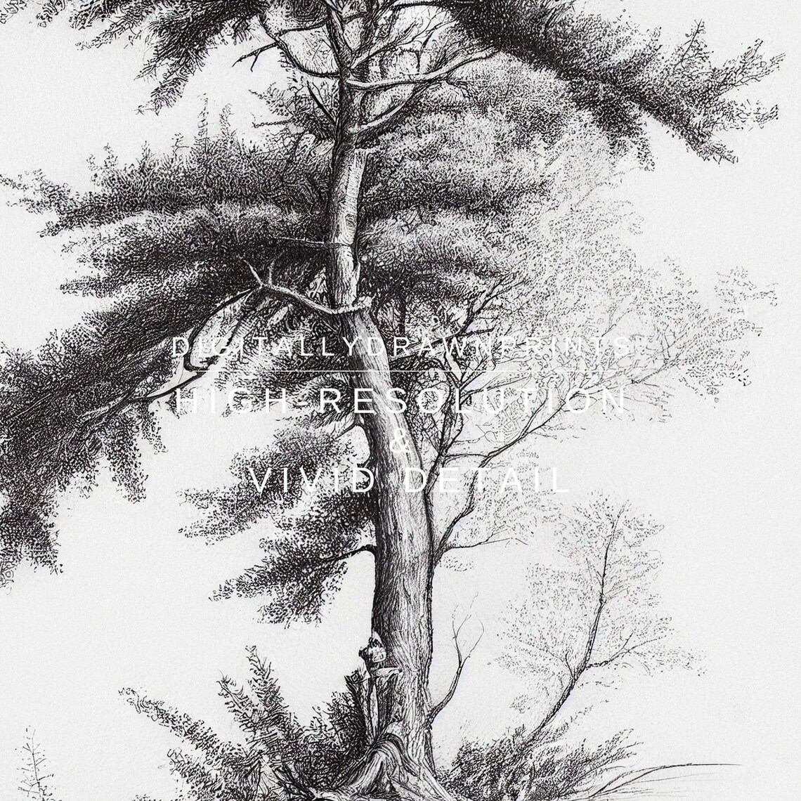 Neutral Tree Sketch, Vintage Minimalist Tree Drawing - Image 2