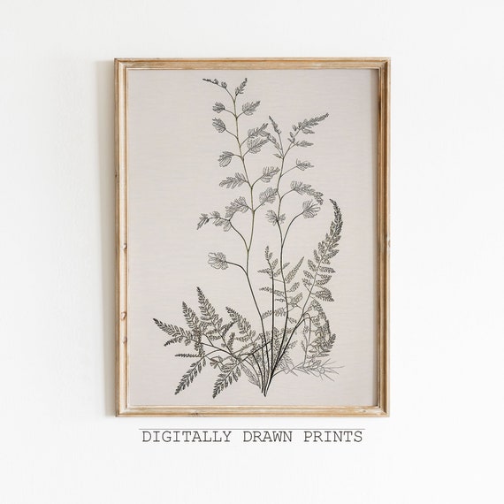Vintage Botanical Sketch, Antique Art Print