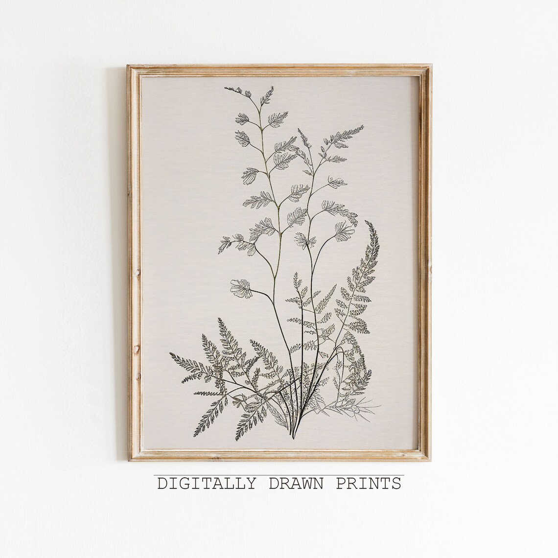 Vintage Botanical Sketch, Antique Art Print